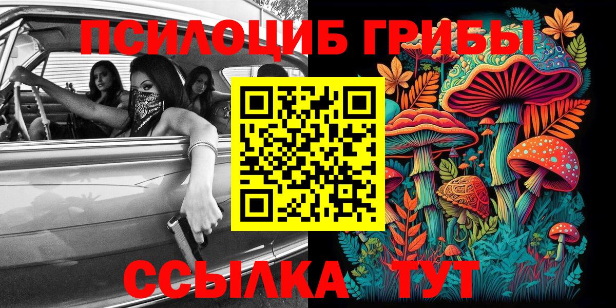 Галлюциногенные грибы MAGIC MUSHROOMS Черногорск